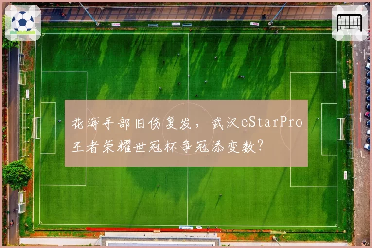 花海手部旧伤复发，武汉eStarPro王者荣耀世冠杯争冠添变数？