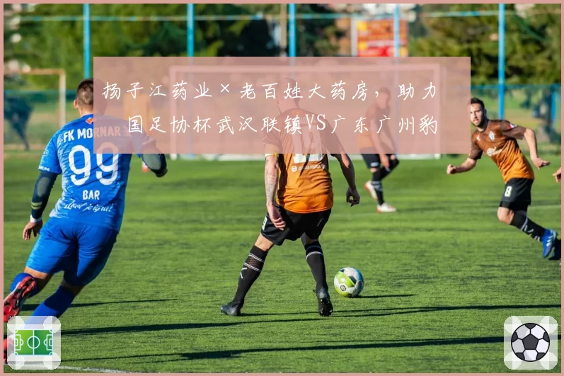 扬子江药业×老百姓大药房，助力中国足协杯武汉联镇VS广东广州豹