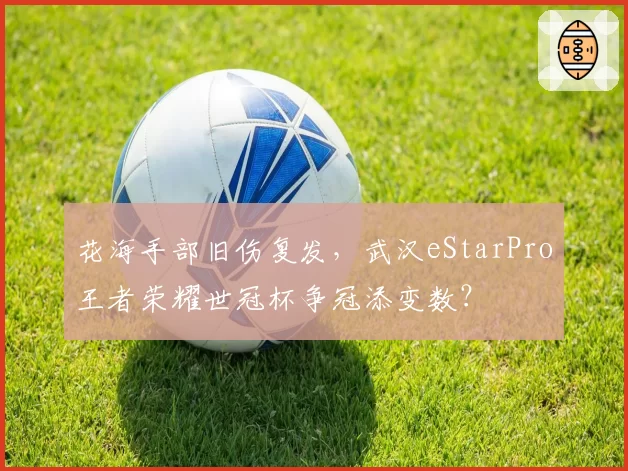 花海手部旧伤复发，武汉eStarPro王者荣耀世冠杯争冠添变数？