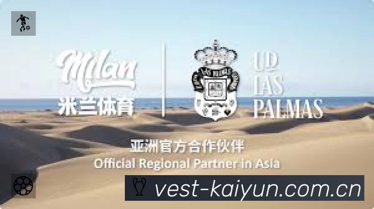 安全防护与风控机制